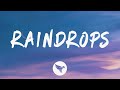 Metro Boomin - Raindrops (Lyrics) Feat. Travis Scott