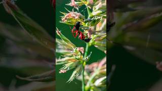 Another Day With The Nikon D850