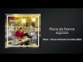 Place De France Video preview