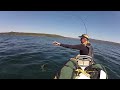 Trout Fishing at Shoshone Lake, Yellowstone National Park.mov