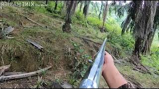 Himpunan  menembak 🐗babi hutan || tembakannya tepat pada sasaran.