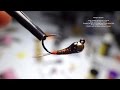 Tying a Perdigon Spanish Nymph with Davie McPhail Tying a Perdigon Spanish Nymph with Davie McPhail