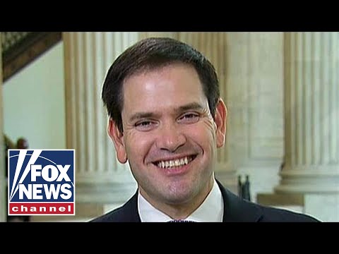 Rubio: Trump, Congress have different jobs on North Korea