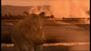 Land Of The Mammoth 2001 - Woolly Rhinoceros Screen Time