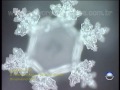Masaru Emoto - Moléculas de água sob efeito da música