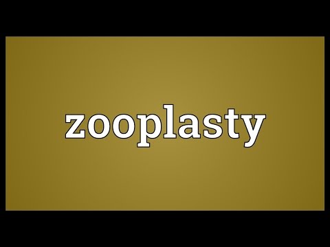 Header of zooplasty