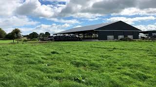 奥法利(Co. Offaly)一座崭新的150立方米棚屋