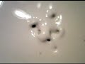 Liquid sound waves on a coffee can