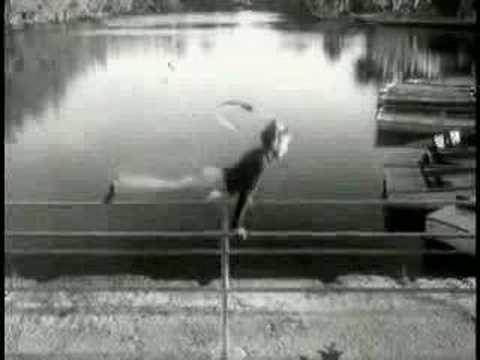 The Swing Wing