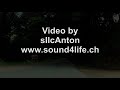 Видео Armin Van Buuren - A State of Trance 539 [15.12.2011]