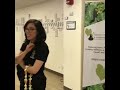 Hawaii Health and Harm Reduction Center - Open House - Music