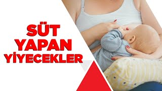 Süt Yapan Yiyecekler - Süt Yapan Besinler