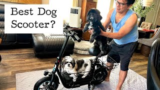 Gyroor C1S Electric Scooter With Dog Basket Embly & Review 4K Timelapse With Insta360 X5