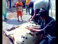 Eid ul azha qurbani