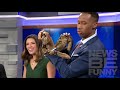 BEST NEWS BLOOPERS 2016