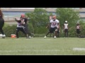 bengals
