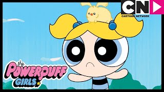 The Powerpuff Girls Baby Monster Cartoon Network
