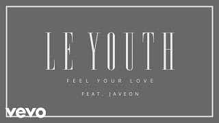 Watch Le Youth Feel Your Love video