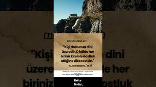 Kalp, Yanında Oturduğunların Rengini Alır.