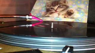 Watch 1000 Clowns Kitty Kat Max video