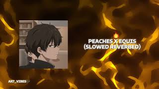 Peaches X Equis Slowed Reverbed