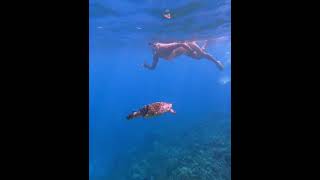 Sunny Leone Under Water Vedio