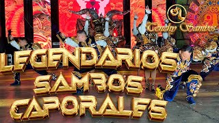 Legendarios Sambos Caporales 2025 Final Concurso Nacional De Saya 2025