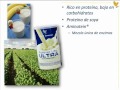 Forever Lite Ultra Forever Living Products Argentina