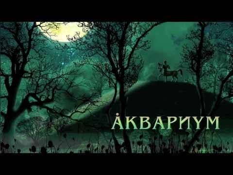 Аквариум - Мне Было Бы Легче Петь (live) HD