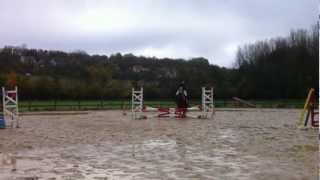Misteen Des Isles 111112 Cso Airion Poney4
