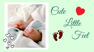 Cute Little Feet Baby Boy