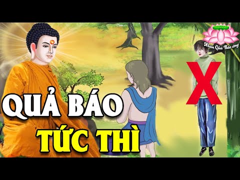 Kể Truyện Đêm Khuya, NHÂN QUẢ BÁO ỨNG Kiếp Trước Gieo Nghiệp Kiếp Này Lãnh Hậu Quả Khôn Lường #Mới