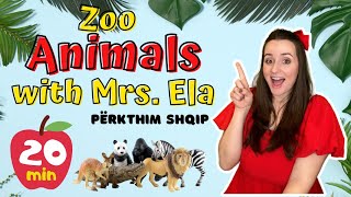Learn Zoo Animals In Albanian & English Fun Bilingual Song For Kids