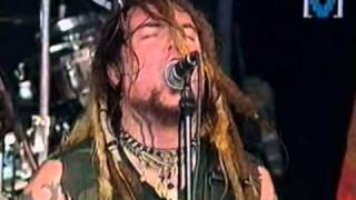 Watch Soulfly No video