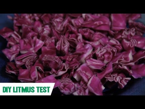 Litmus Test: SciShow Experiments