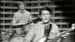 Watch Beach Boys Dance Dance Dance video