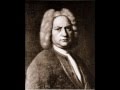 Johann Sebastian Bach - Brandenburg Concerto No. 3 (Allegro-Adagio)
