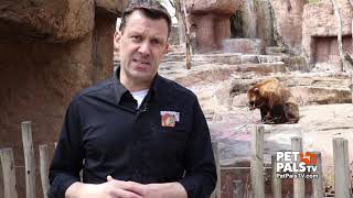 Indianapolis Zoo teams stay busy while closed to public