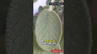 Et Du Ton Chemin Était Bloqué ??? Découvre La Solution Absolue