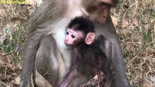 Baby ANA sleeping very well/ he always get milk from ANA not remove