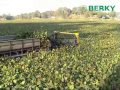BERKY Aquatic Weed Harvester type 6520 harvest water hyacinth