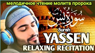 чтение Корана как введение в отдых, охлаждающее душу | RELAXING RECITATION YASSEN