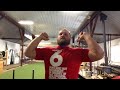 stretch reflex