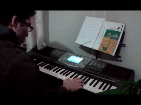 persian piano (Habib)