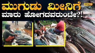 Mugudu Fish There Is A Huge Demand For This Fish In The Coastal Areas, Mugudu Fish Has The Magic Of Taste