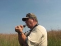 SmartStick7 #91 EDU presents Beginner Canada Goose Call