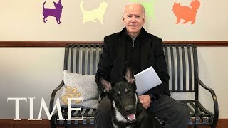 Joe Biden Adopts New Dog From Delaware Humane Society | TIME