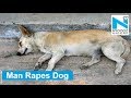Man rapes dog, forces it into performing oral sex in Mumbai