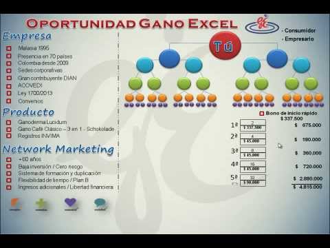 Presentacion Servilleta Gano Excel 12.pdf