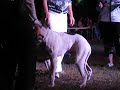 Видео Hercules-Aik Diamond World.avi